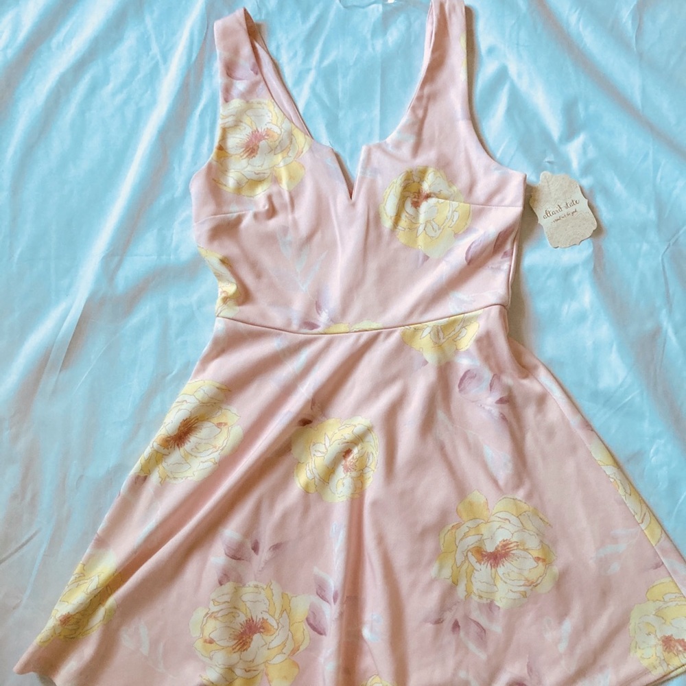 Altar’d State Pink Multi Dress